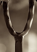Wall_Art_Alphabet_Photography_Art_ 2521